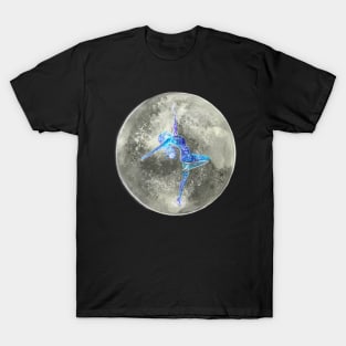 Mystery T-Shirt